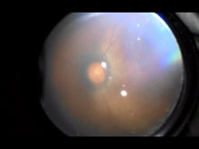 Load and play video in Gallery viewer, IO-α LED with CAMERA