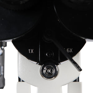 ESL-5200 - US Ophthalmic