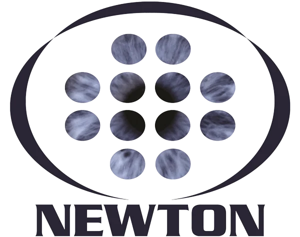 Newton