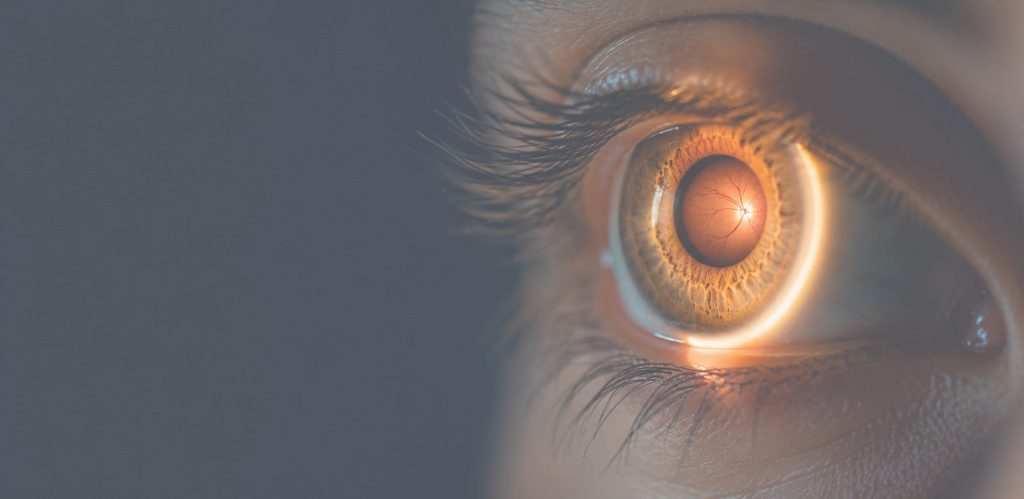 Retinal Imaging in Eye Care: Clinical Relevance and the Role of Advanced Retinal Cameras