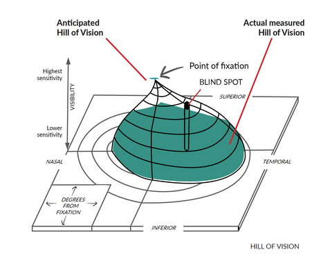 FIELD OF VISION