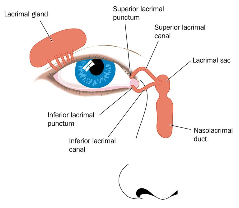 tearduct